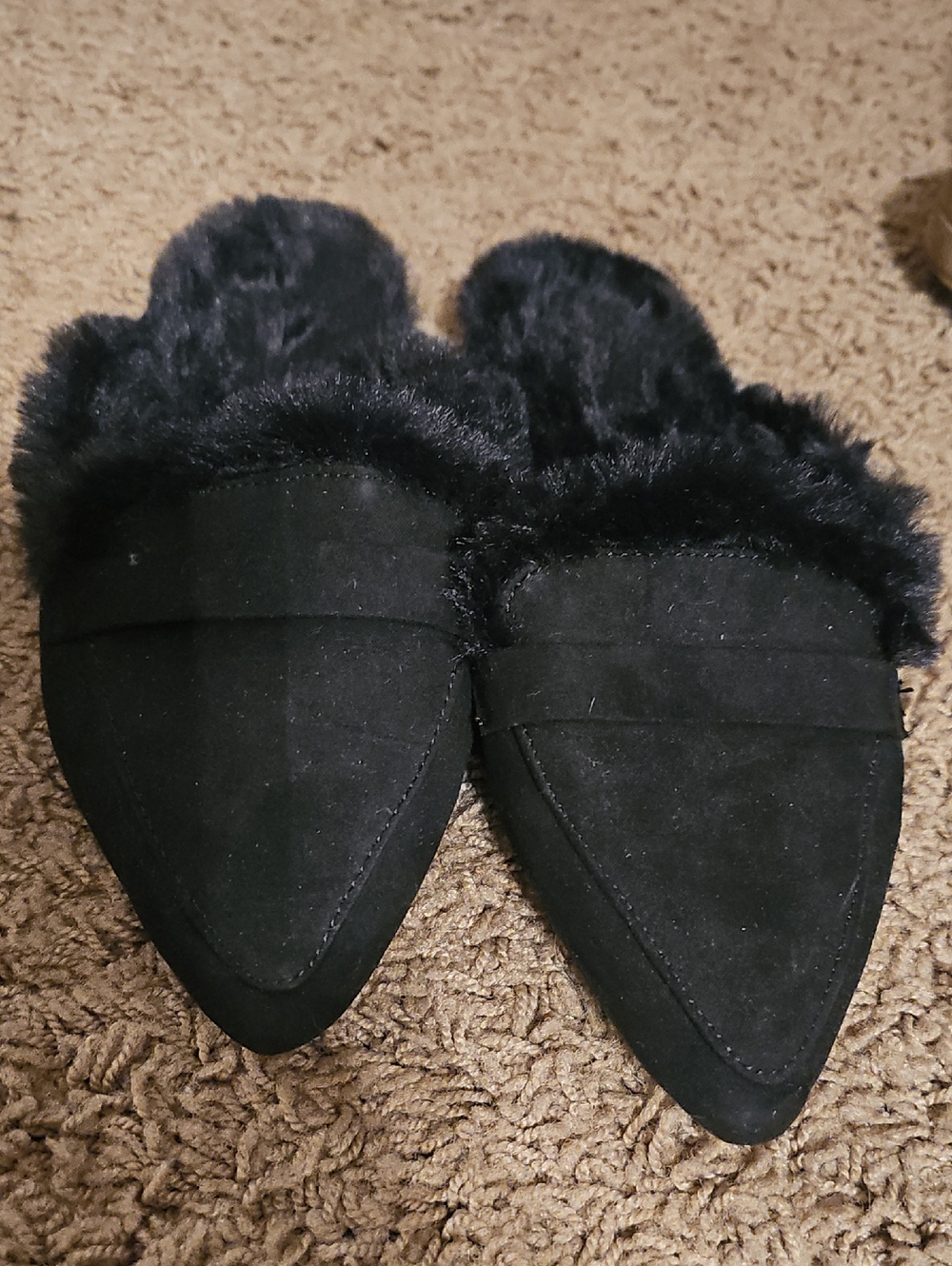 Black Faux Fur-Lined Pointed Loafers - Women